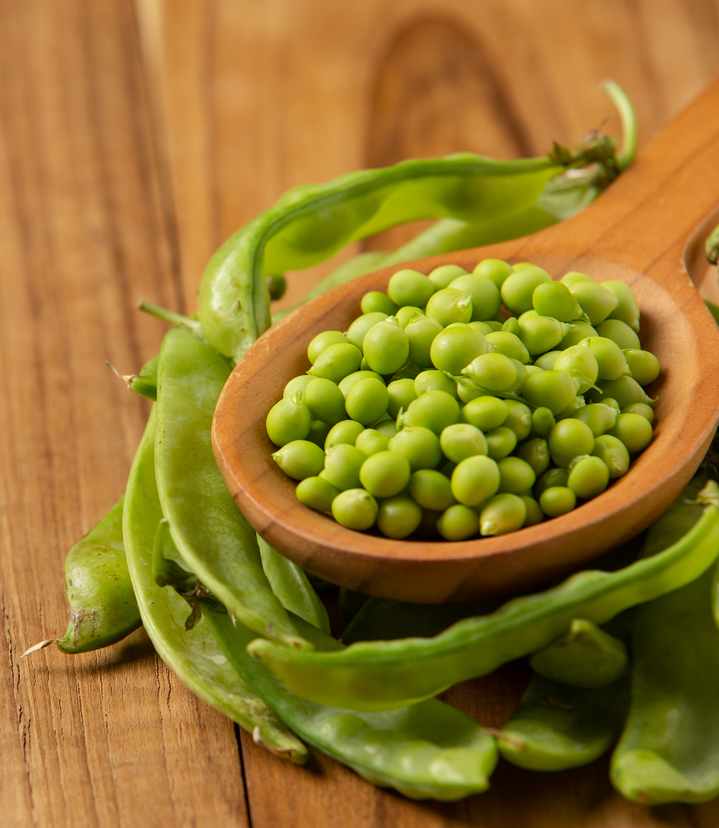 Person harvesting peas from pod